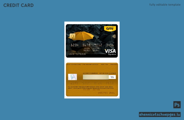 Beispielvorschau der Visa-Signaturkarte von Ami Insurance Limited (Neuseeland)